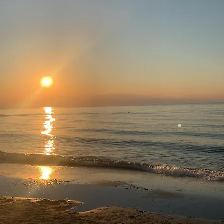 캠프장 Toscana Camp