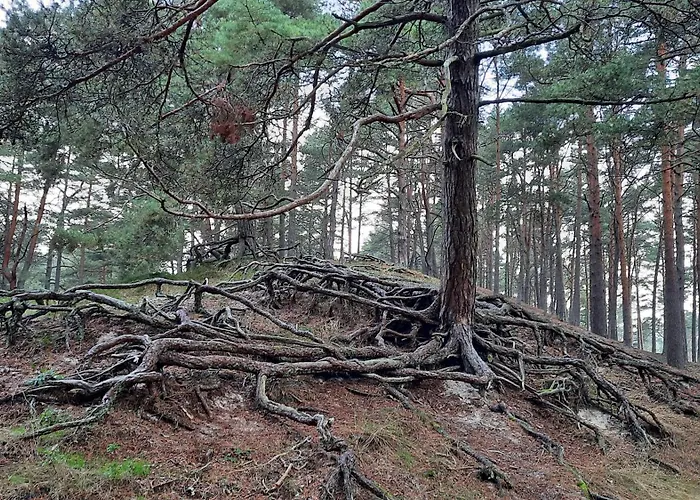 Toscana Camp Parque de Campismo Pogorzelica (Gmina Rewal)